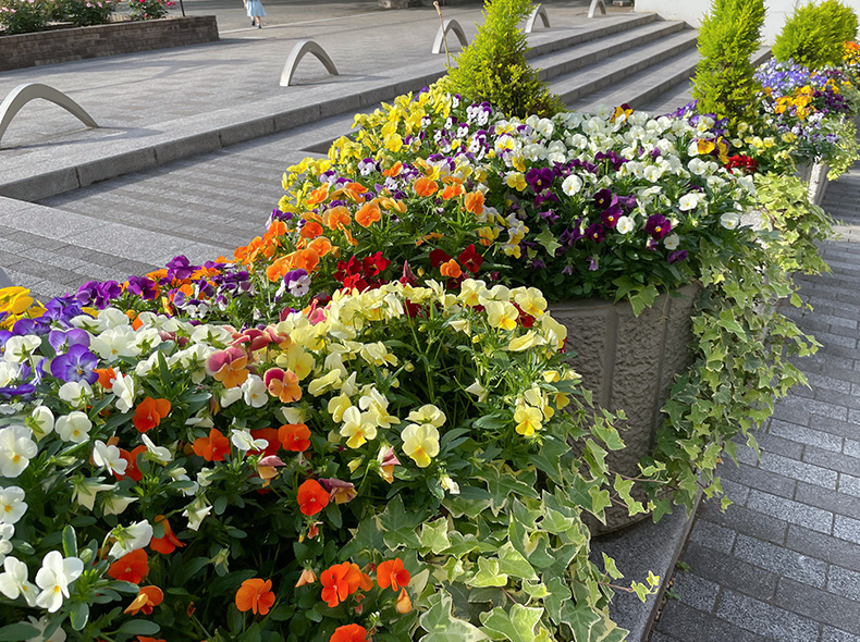 一年を通して花を楽しめます