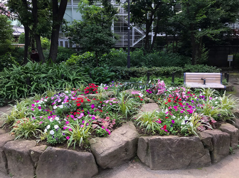 南青山六丁目児童遊園の風景