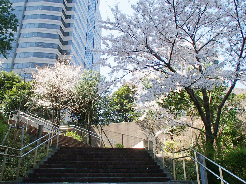 円通寺坂公園の風景