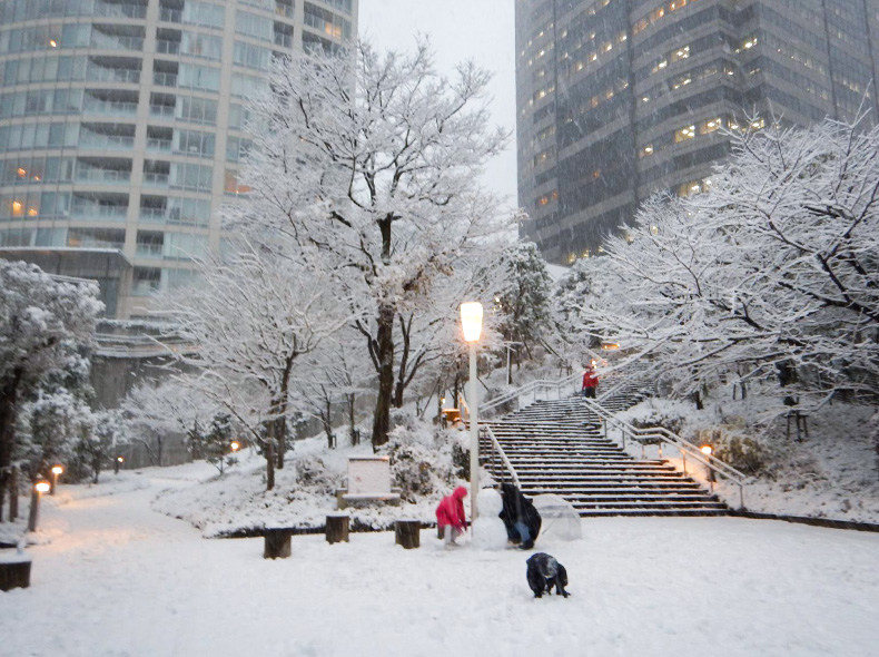 雪化粧した園内