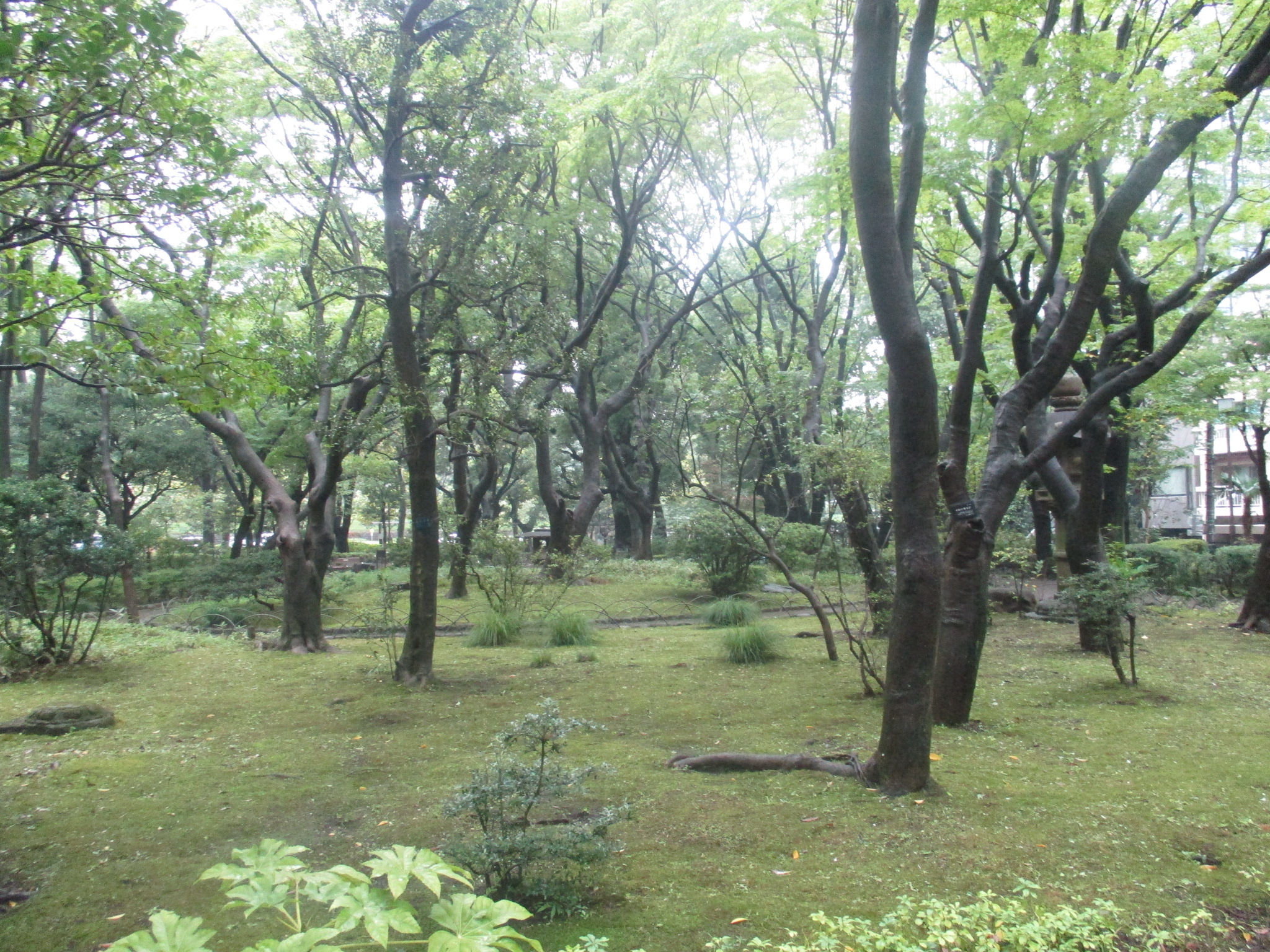 是 清 高橋