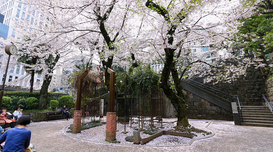 乃木公園・旧乃木邸の風景